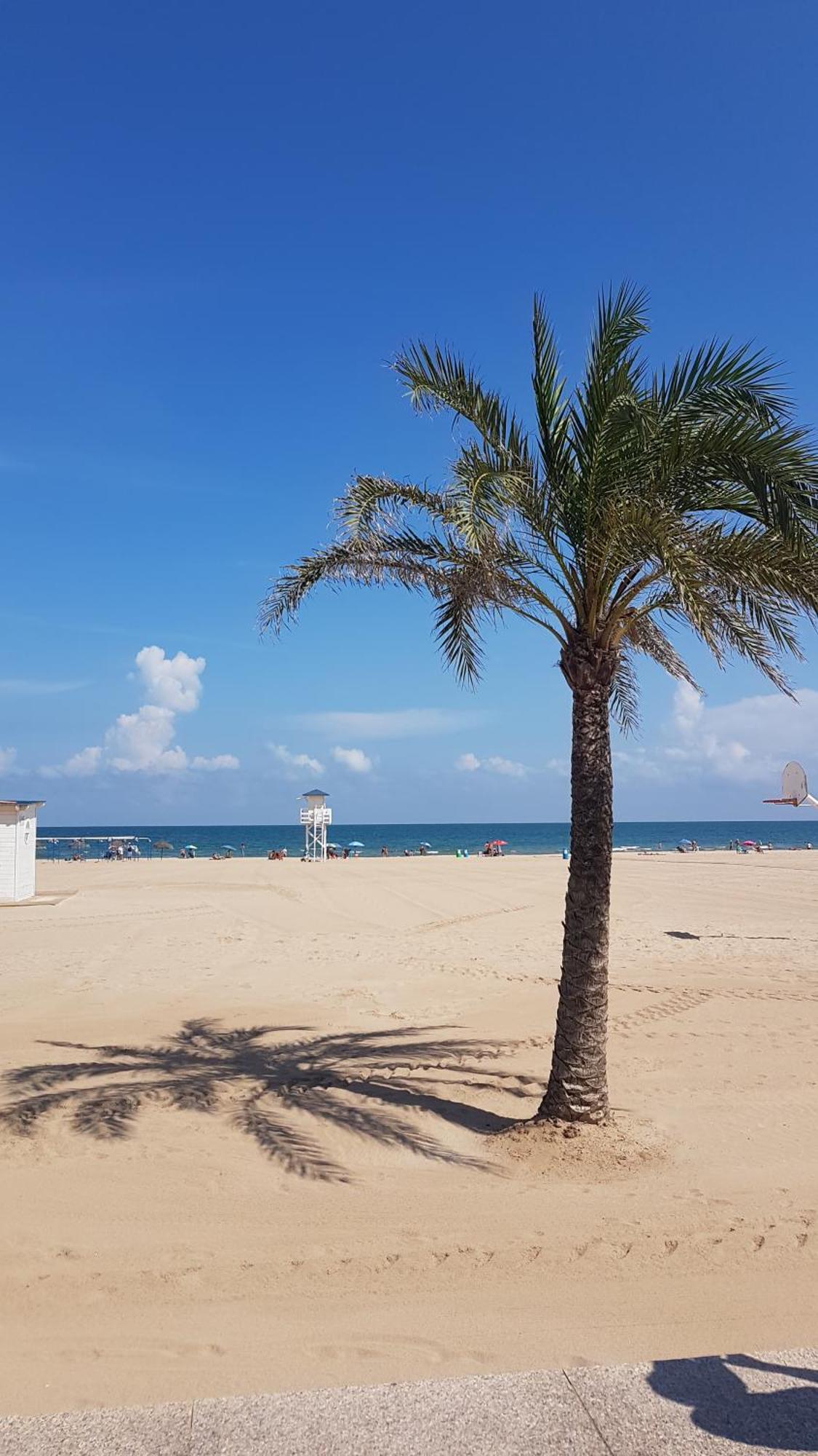 Hola Gandia Gandía Exterior foto